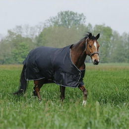 Produktbild von Equithème Tyrex 600D Outdoor Pferdedecke aus Polyester in Schwarz