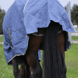 Equithème Tyrex 600D Outdoordecke für Pferde aus recyceltem Polyester Blau 6'6 – Bild 1 von 2