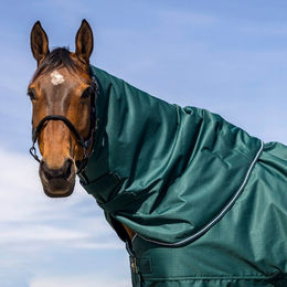 Produktbild von Equithème Tyrex 600D Pony Pferdedecke mit Halsteil in Grün aus Polyester