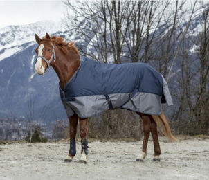 Equithème Tyrex 600D Regendecke für Ponys mit 150g Füllung blau grau – Bild 1 von 9