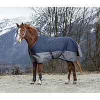 Produktbild von Equithème Tyrex 600D Regendecke für Ponys mit 150g Füllung blau grau