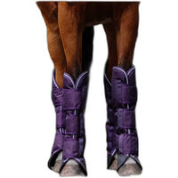 Produktbild von Equithème Tyrex 600D Transportgamaschen für Pferde Lila aus Polyester