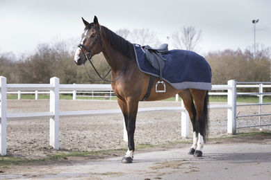 Produktbild von Equithème Tyrex 600D Wasserdichte Nierendecke für Pferde Navy/Grau 155 cm