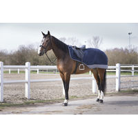Produktbild von Equithème Tyrex 600D Wasserdichte Nierendecke für Pferde Navy/Grau 155 cm
