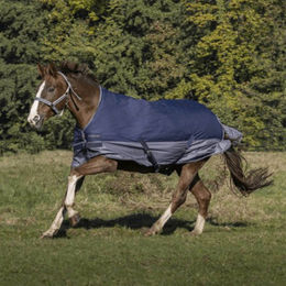 Equithème Tyrex 600D Weidedecke mit hohem Hals für Pferde 175 cm Marineblau/Grau – Bild 1 von 3