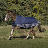 Produktbild von Equithème Tyrex 600D Weidedecke mit hohem Hals für Pferde 215 cm Marineblau Grau