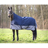 Produktbild von Equithème Tyrex 600D Weidedecke mit hohem Hals für Pferde Marineblau Grau