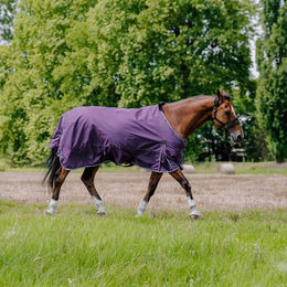 Equithème Tyrex Aisance Outdoor-Decke für Pferde aus Polyester in Lila – Bild 1 von 2
