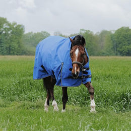 Equithème Tyrex Aisance Outdoor-Decke für Pferde mit High Neck 300g Blau – Bild 1 von 2