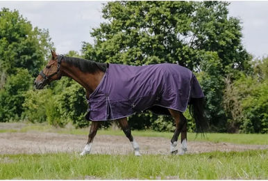 Equithème Tyrex Aisance Outdoor-Pferdedecke aus 600D Polyester in Lila Größe 6'6 – Bild 1 von 2