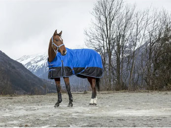 Produktbild von Equithème Tyrex Aisance Outdoor-Pferdedecke aus Polyester Blau 1200D 0g