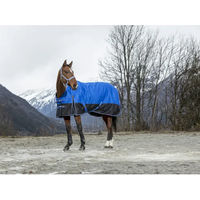Produktbild von Equithème Tyrex Aisance Outdoor-Pferdedecke aus Polyester Blau 1200D 0g
