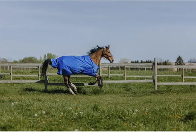 Produktbild von Equithème Tyrex Aisance Outdoor-Pferdedecke Blau 1200D 300g