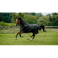 Produktbild von Equithème Tyrex Lumin 600D Outdoor-Pferdedecke in Schwarz