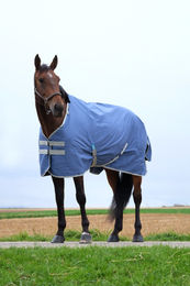 Equithème Tyrex Outdoor Regendecke für Pferde aus recyceltem Polyester Blau 150 cm – Bild 1 von 2