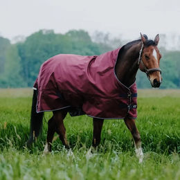 Produktbild von Equithème Tyrex Pferdedecke für draußen mit Stehkragen aus Polyester in Rot