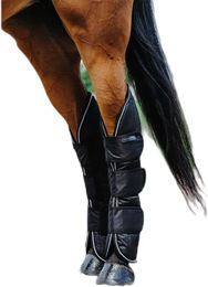 Produktbild von Equithème Tyrex Transportgamaschen für Pferde aus Polyester für Vollblut