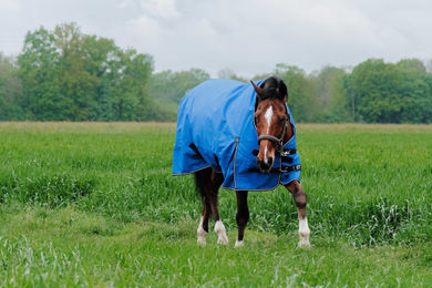 Equithème Weidedecke und Regendecke für Pferde Blau 1200D Polyester – Bild 1 von 6