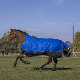 EquiTheme Winterdecke Highneck Combo Pferdedecke mit 300g Füllung blau/schwarz 105cm - 300 g – Bild 1 von 2
