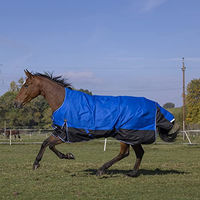 Produktbild von EquiTheme Winterdecke Highneck Combo Pferdedecke mit 300g Füllung blau/schwarz 105cm - 300 g