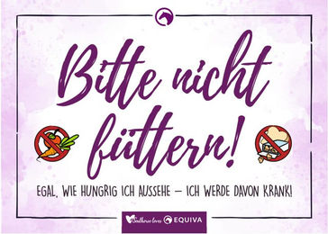 Equiva Boxenschild – Bild 1 von 1