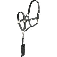 Produktbild von Equiva Halfter aus Satin mit Strick für Warmblut aus Polyester