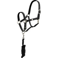 Produktbild von EQUIVA Halfter aus Satin mit Strick für Warmblut in Schwarz