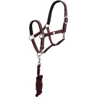 Produktbild von EQUIVA Pony Halfter aus Satin mit Strick in Beige