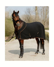 EQUIVA Stallgamaschen Keramik Nova Schwarz für Warmblut – Bild 1 von 4