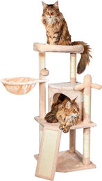 Equivera Katzenbaum Beige mit Plüschbezug, 106 cm hoch mit Höhle und Hängematte – Bild 1 von 1