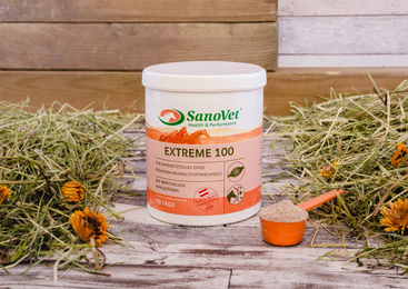Produktbild von equiXTREME EXTREME 100 Vitamin-Pulver Ergänzungsfutter für Pferde