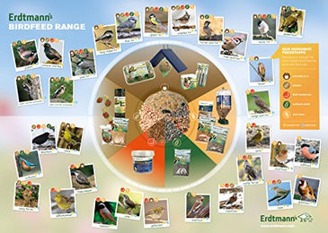 Erdtmanns Erdnusskerne für Wildvögel und Eichhörnchen 25 kg – Bild 1 von 3