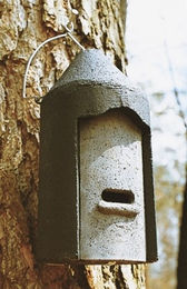 Erdtmanns Fledermauskasten aus Holzbeton in Grau - 1 Stk. – Bild 1 von 4