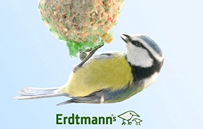 Erdtmanns Meisenknödel für Wildvögel 350 g (4 Stück) – Bild 1 von 4