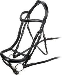 Ergonomisches gewölbtes Blitzgerät Velociti Rapida – Bild 1 von 1