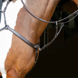 Ergonomisches Jagdhalsband Velociti Rapida für Pferde – Bild 1 von 1