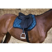 Produktbild von Eric Thomas Élite Reitsattel aus Leder in Schwarz