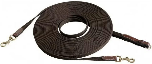 Produktbild von Eric Thomas Gurtzügel aus Polyester für Pferde in Schwarz oder Braun