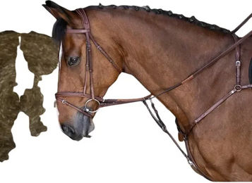 Eric Thomas Hybrid Vorderzeug für Warmblut aus Leder in Braun – Bild 1 von 2