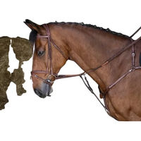 Produktbild von Eric Thomas Hybrid Vorderzeug für Warmblut aus Leder in Braun