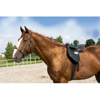 Produktbild von Eric Thomas Pro Lederhalfter für Ponys in Schwarz