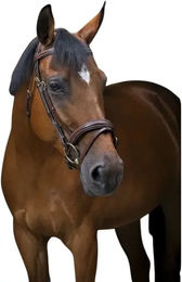 Eric Thomas Pro Wave Reittrense aus Leder für Pferde in Schwarz oder Braun – Bild 1 von 2