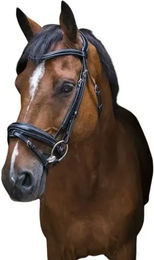Eric Thomas Trensenzaum Pro Design aus Leder für Warmblut in Schwarz – Bild 1 von 2