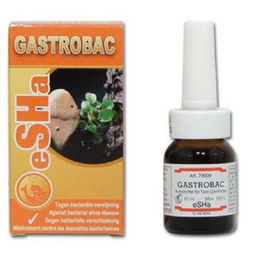 eSHa Gastrobac Medikament gegen bakterielle Verschleimung für Zierfische 10 ml - 10 ml – Bild 1 von 3