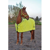 Produktbild von Eskadron Abschwitzdecke für Pferde in Grün aus Polyester
