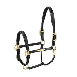 Eskadron Basic Leather Elegance Halfter aus Leder für Vollblut in Schwarz – Bild 1 von 2