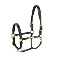 Produktbild von Eskadron Basic Leather Elegance Halfter aus Leder für Vollblut in Schwarz