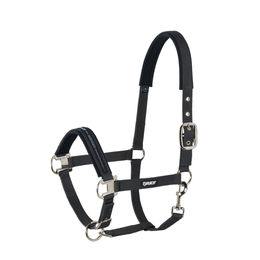 Eskadron Basic Pin Buckle Halfter für Ponys in Schwarz – Bild 1 von 3