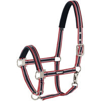 Produktbild von Eskadron Basic Pin Buckle Halfter für Ponys in Türkis und Bunt