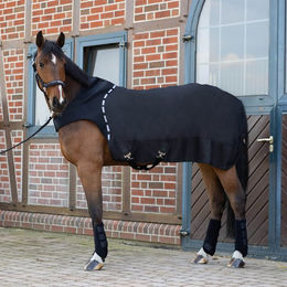 Eskadron Basics Führmaschinendecke Delta mit Fleecelining Schwarz Größe L – Bild 1 von 3